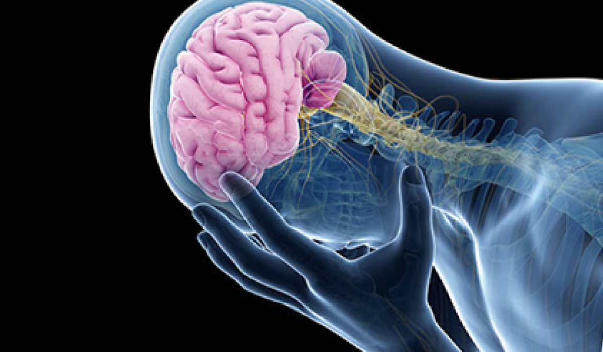La Sociedad Espa&ntilde;ola de Neurolog&iacute;a quiere tambi&eacute;n recordar a los pacientes con cefaleas en racimos que el consumo de alcohol y tabaco, o cambios en el patr&oacute;n de sue&ntilde;o o en la alimentaci&oacute;n puede precipitar los episodios de cefalea en racimos