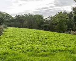 Contorna rural dos concello de Galicia