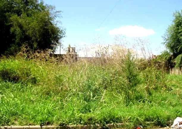 Obrigatoriedade de manter en boa conservaci&oacute;n os solares e fincas situados nos n&uacute;cleos urbanos, zonas da periferia e &aacute;reas residenciais de parroquias rurais seg&uacute;n a normativa