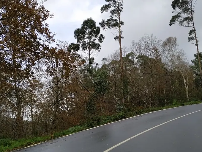 Reclamo a Telef&oacute;nica S.A polo claveado