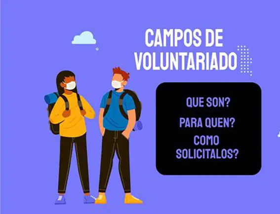 Programa da Direcci&oacute;n Xeral de Xuventude, Participaci&oacute;n e Voluntariado