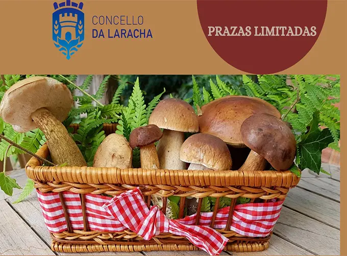 Xornada de micolox&iacute;a no Concello da Laracha