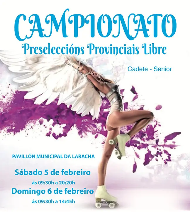 Cartel do Campionato de Patinaxe na Laracha