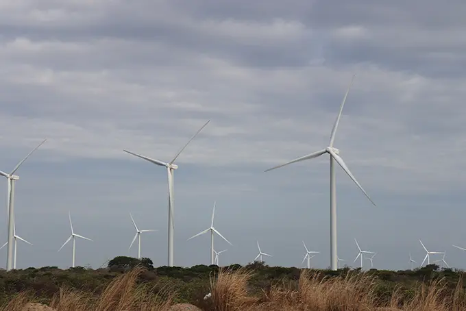 Tempo de alegaci&oacute;ns ao parque e&oacute;lico de Meirama