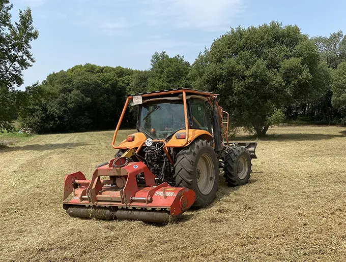 Desbroce na &aacute;rea verde anexa ao parque empresarial