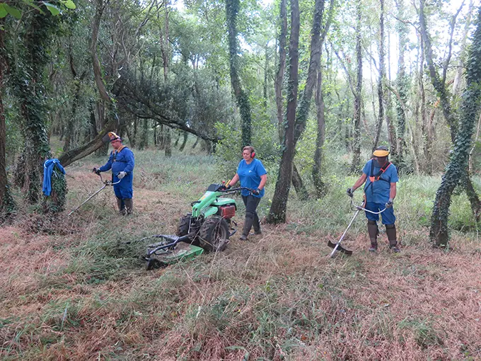 As cuadrillas traballan nos espazos verdes do Concello da Laracha