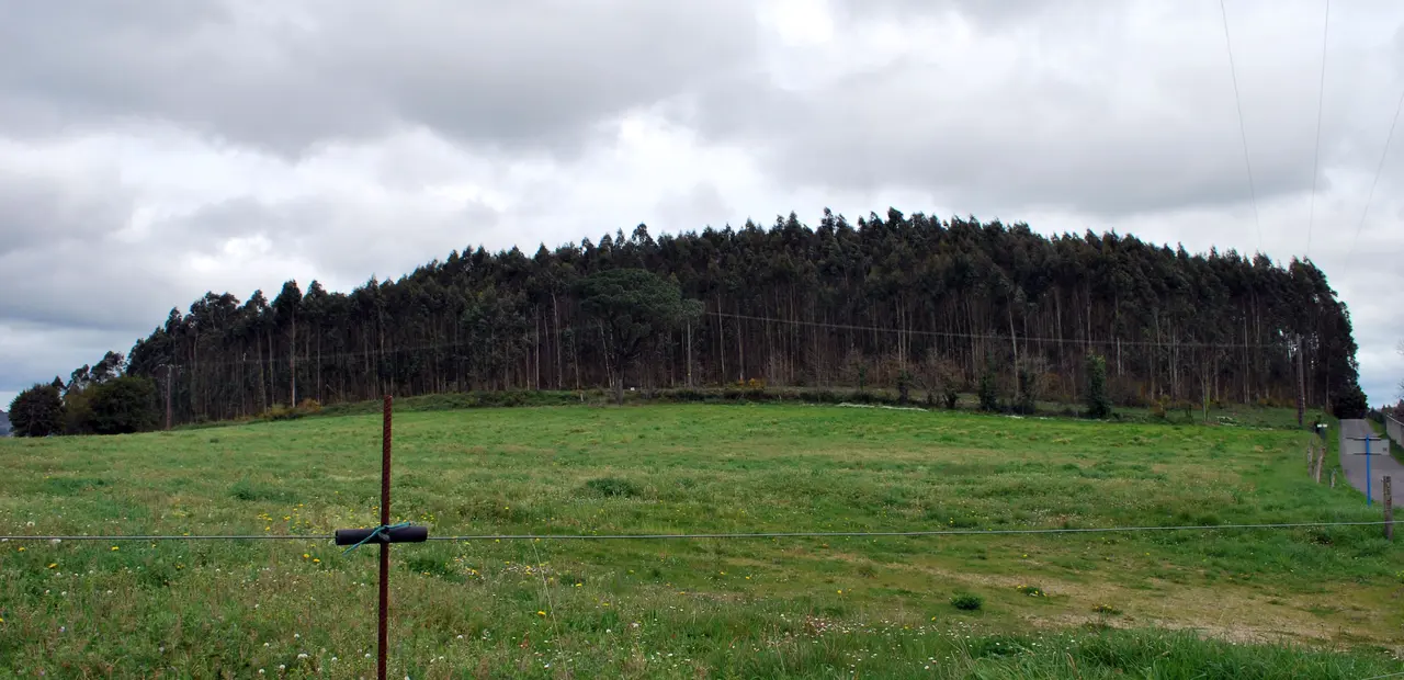 Castro de Montes Claros na Laracha.