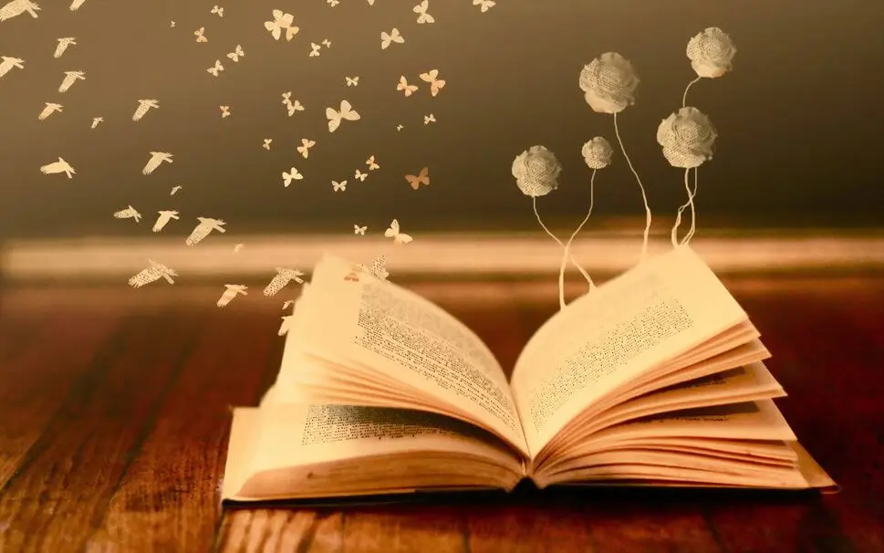 "Mes do Libro" na Laracha.