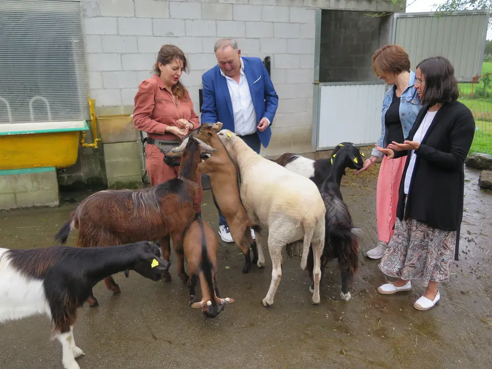 Visita do Alcalde ao refuxio de animais Acougo.