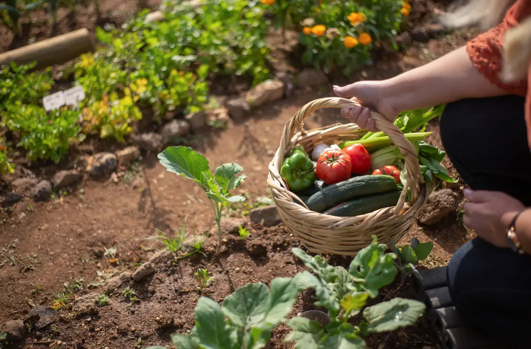 Os d&iacute;as 3 e 4 de agosto no campo da feira de Paiosaco