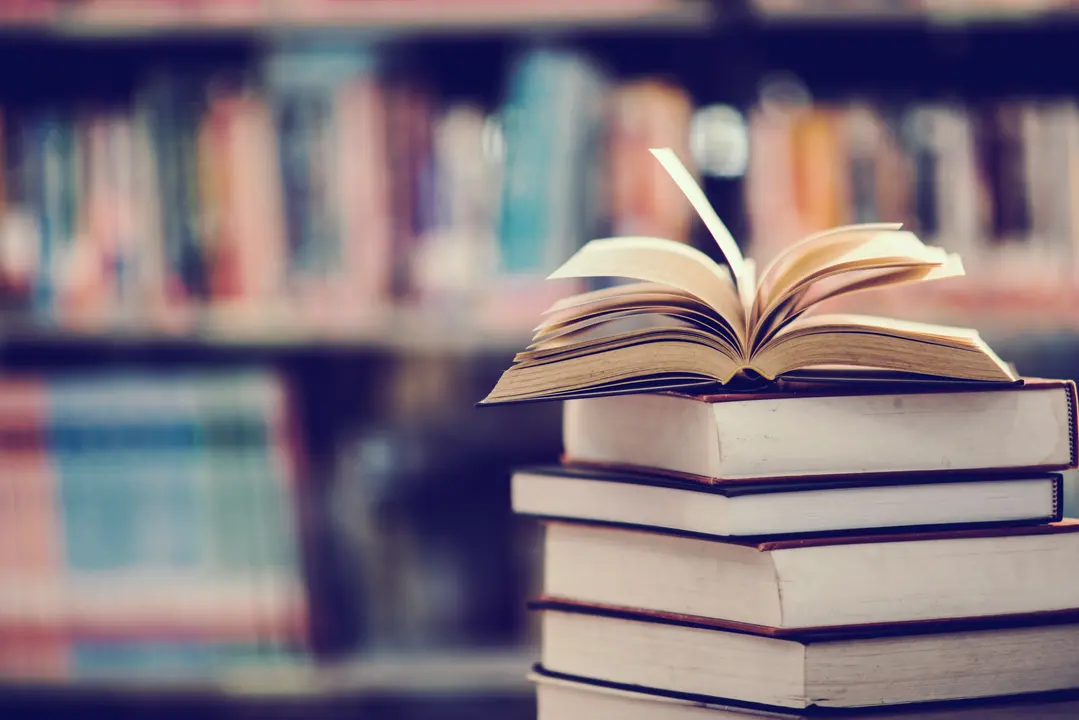 Mes do Libro na Laracha.