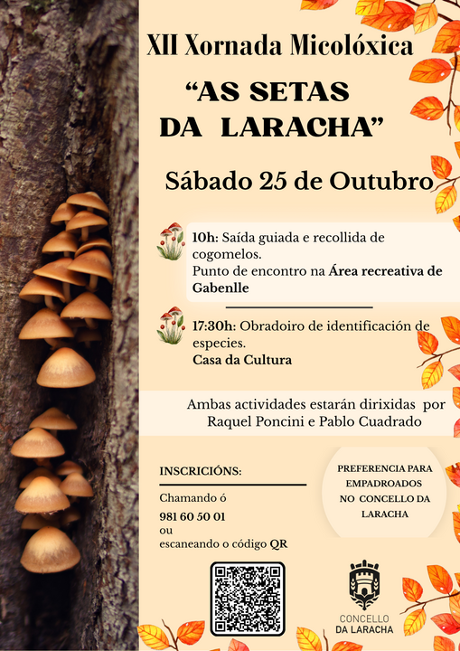 12a edici&oacute;n da xornada "As setas da Laracha".