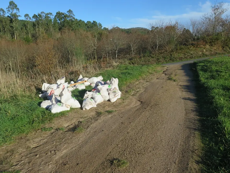 etectado un vertido ilegal en una pista forestal de Soandres.