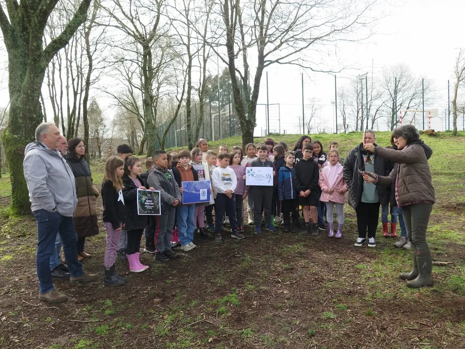 l CEIP Alfredo Bra&ntilde;as, premiado en el marco del programa "Aprender do Bosque".
