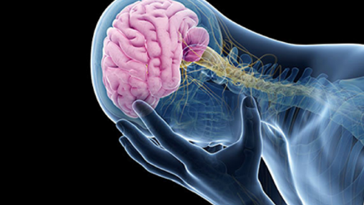 La Sociedad Espa&ntilde;ola de Neurolog&iacute;a quiere tambi&eacute;n recordar a los pacientes con cefaleas en racimos que el consumo de alcohol y tabaco, o cambios en el patr&oacute;n de sue&ntilde;o o en la alimentaci&oacute;n puede precipitar los episodios de cefalea en racimos