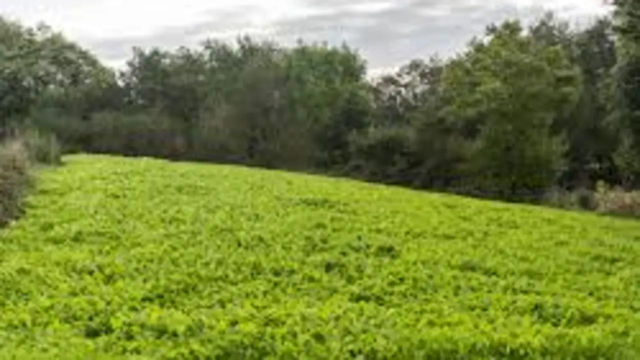 Contorna rural dos concello de Galicia