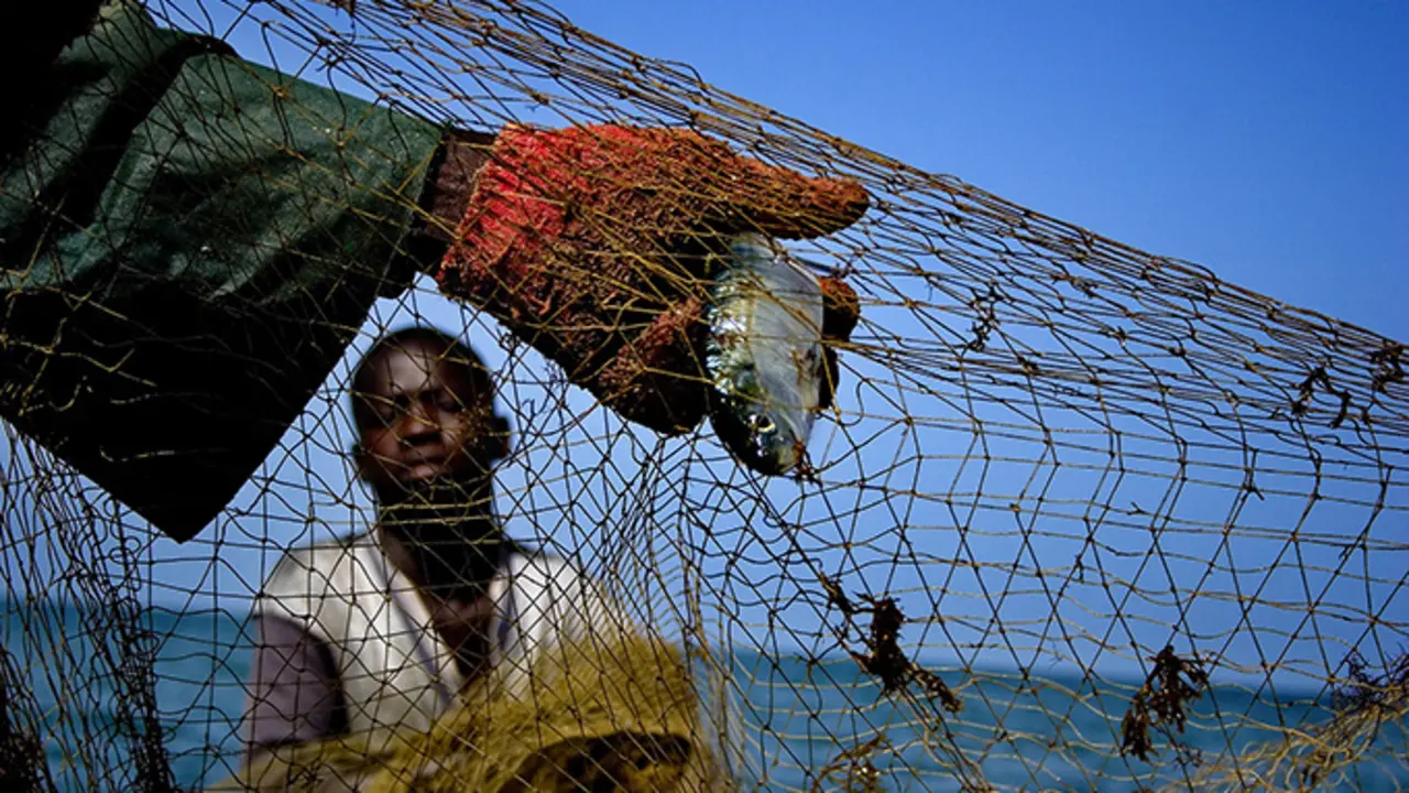 Unha imaxe de Javier Teniente da exposici&oacute;n no centro comunitario de Cai&oacute;n