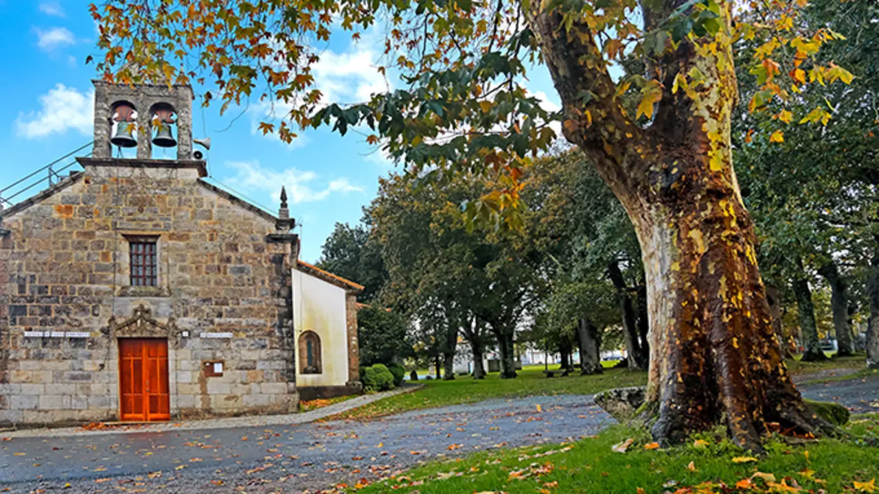 Licitaci&oacute;n do servicio de mantemento para espazos verdes do concello da Laracha (Montemaior)