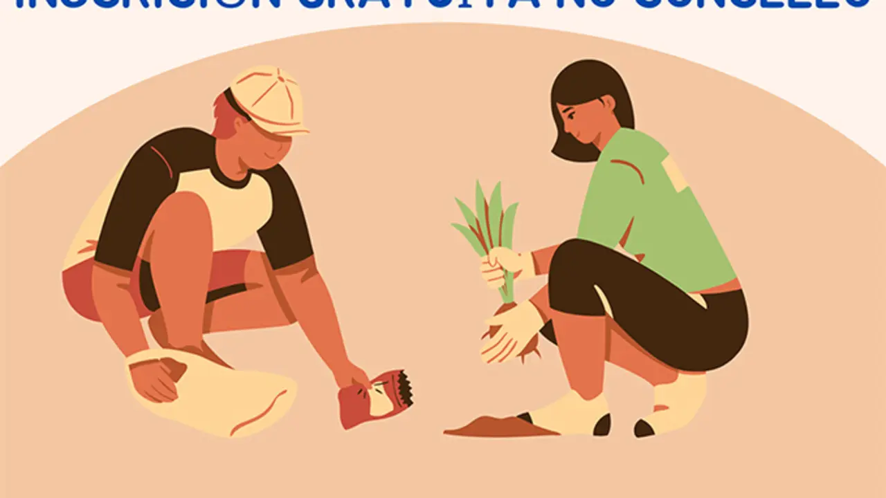 Curso gratuito na Laracha