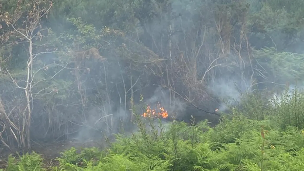 Un dos focos do incendio forestal en Erboedo, A Laracha
