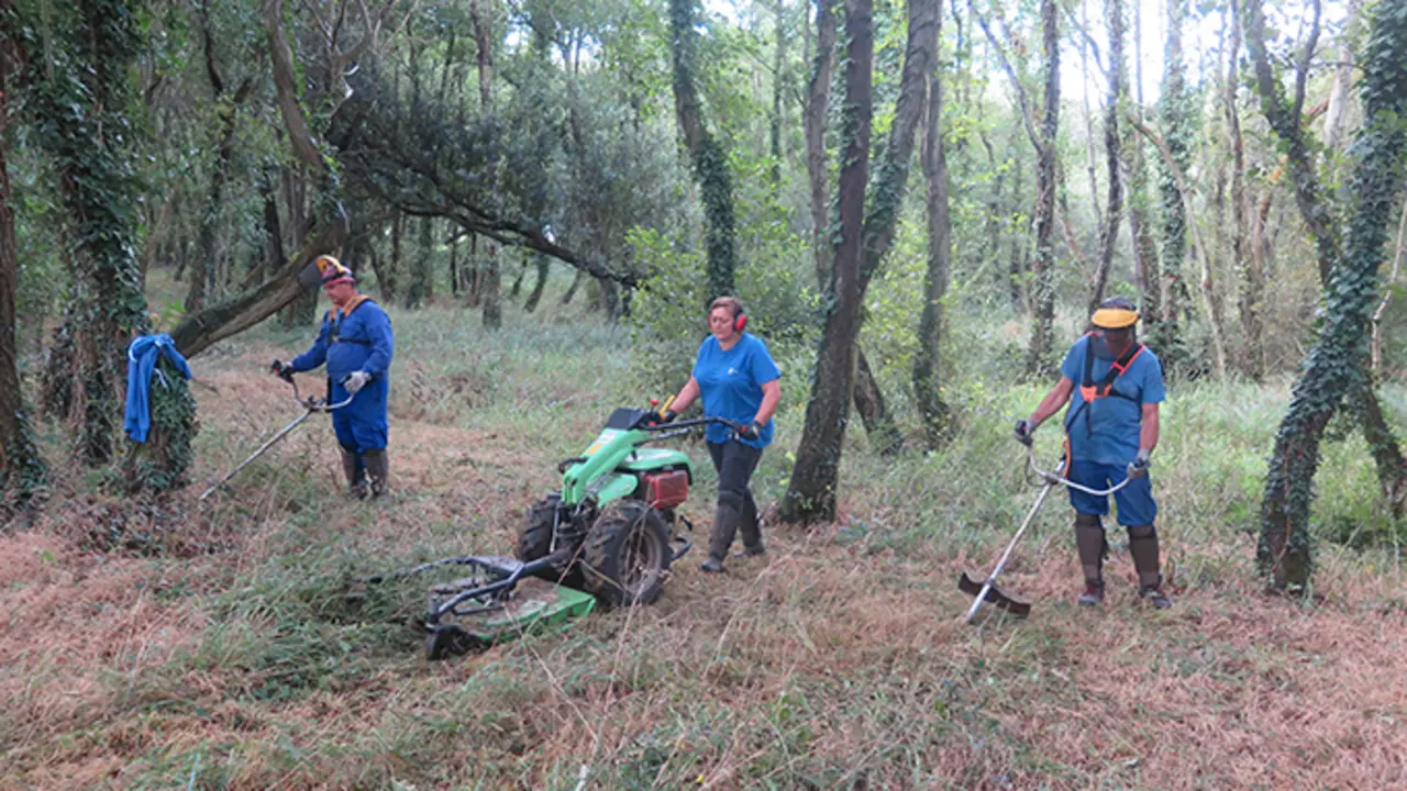 As cuadrillas traballan nos espazos verdes do Concello da Laracha