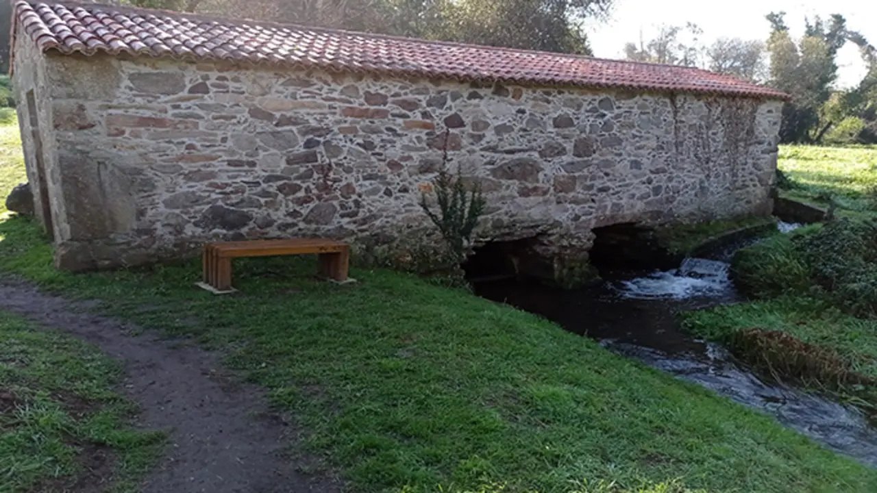 Andainas de Outono organizadas polo Concello da Laracha. Imaxe Sisalde (Arteixo)