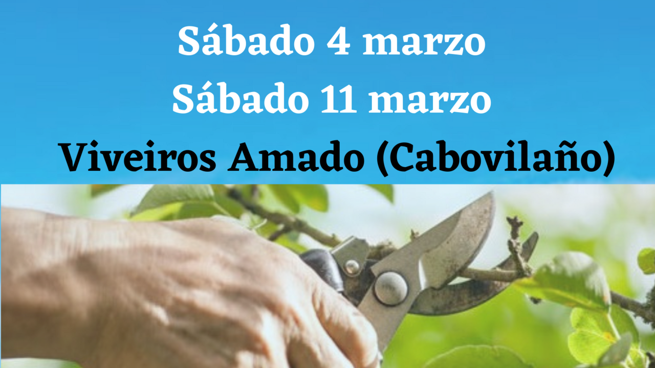 obradoiro poda e enxerto
