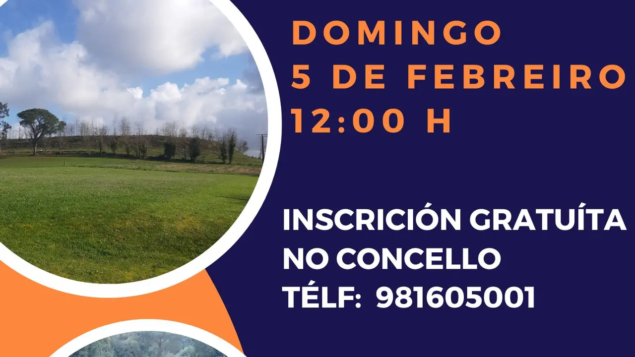Cartel visita guiada ao Castro de Montes Claros.
