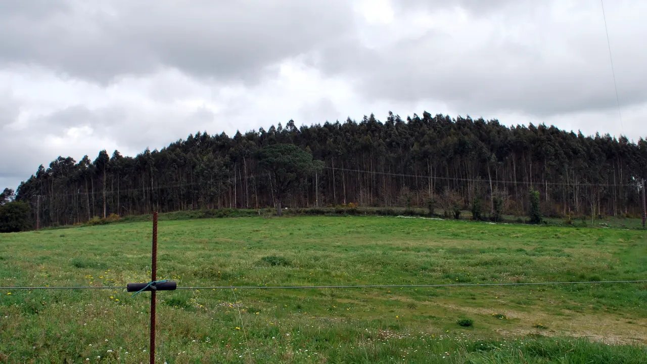 Castro de Montes Claros en Laracha.