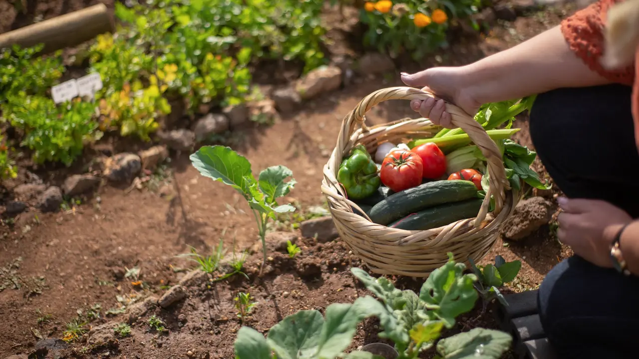 Os d&iacute;as 3 e 4 de agosto no campo da feira de Paiosaco