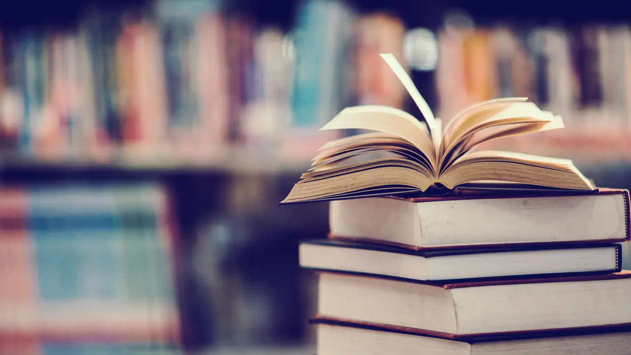 Mes do Libro na Laracha.