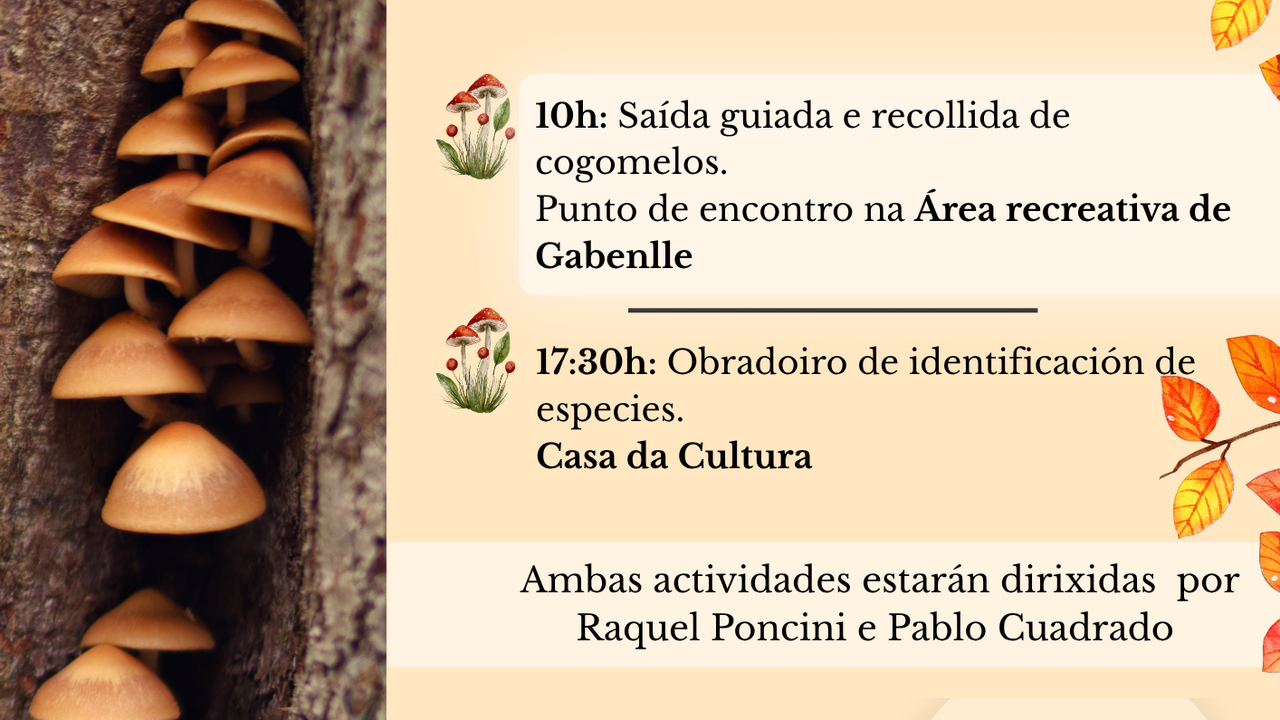 12a edici&oacute;n da xornada "As setas da Laracha".