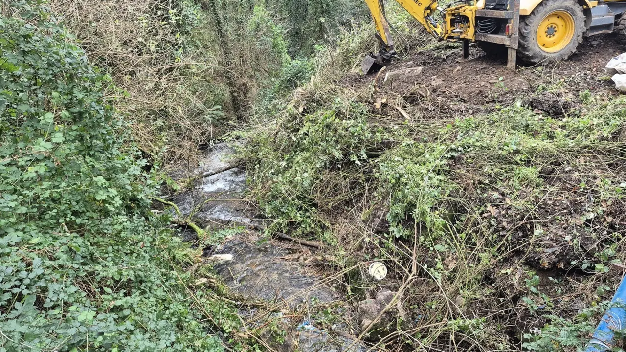 El Concello denuncia la aparici&oacute;n de 6 cerdos muertos en un arroyo de Coiro.