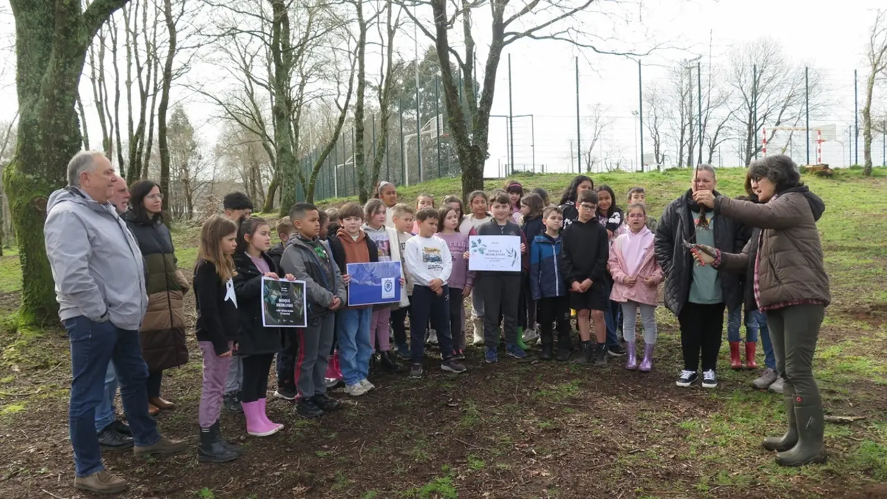 l CEIP Alfredo Bra&ntilde;as, premiado en el marco del programa "Aprender do Bosque".