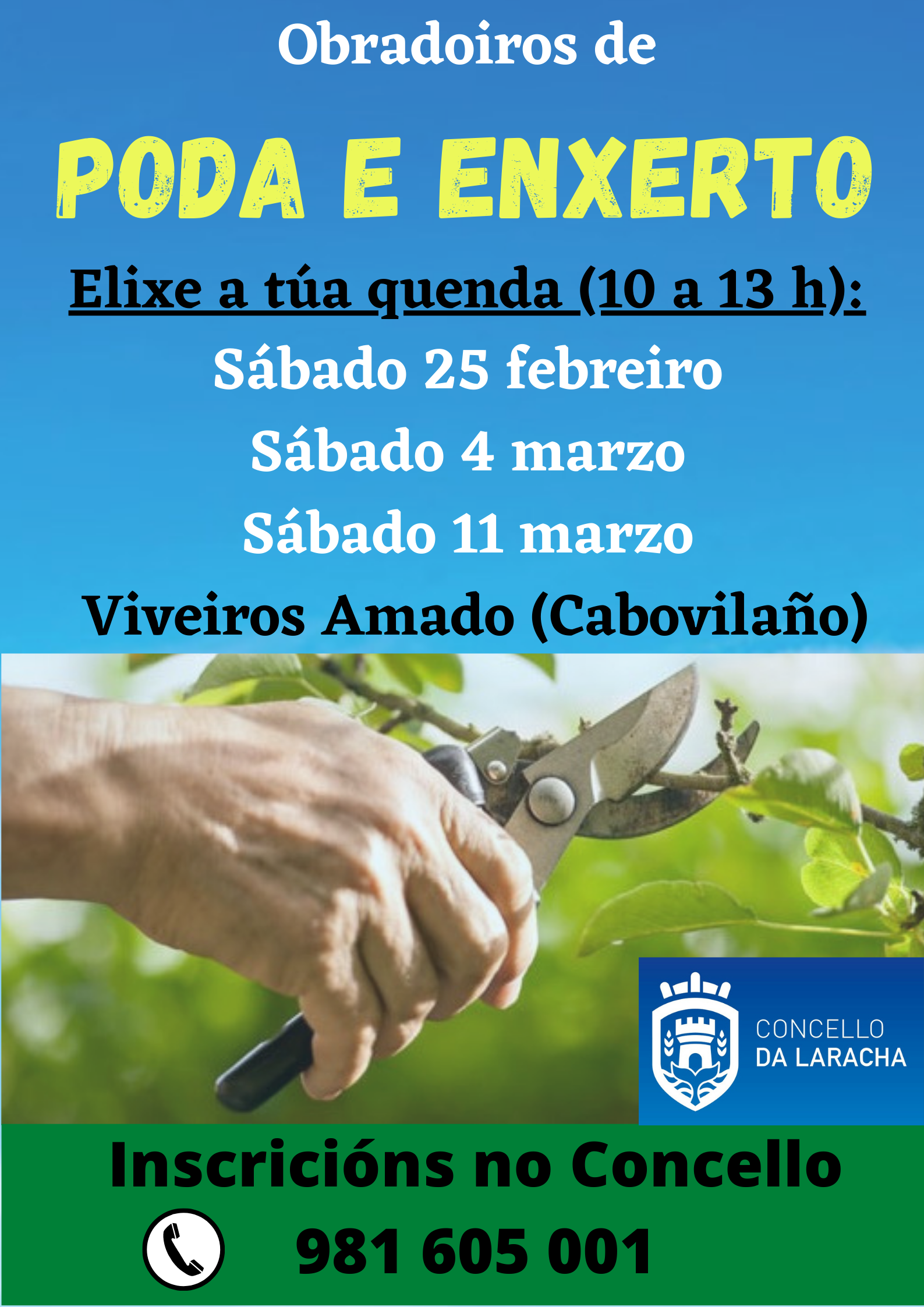 obradoiro poda laracha